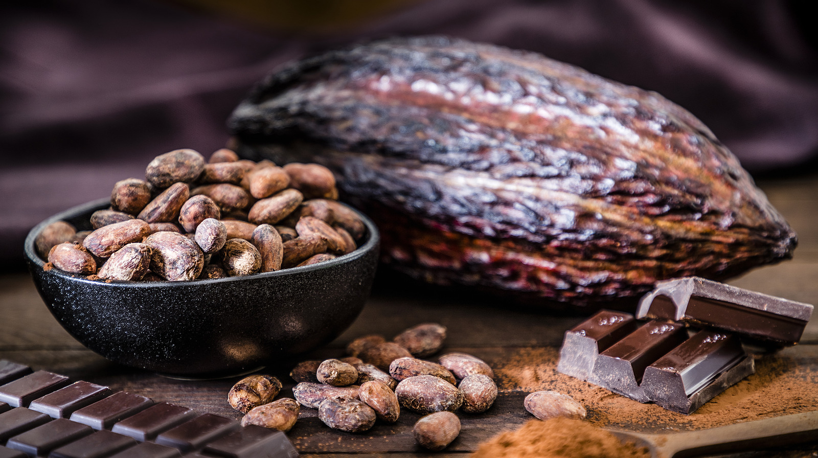 chocolate bar, cocoa powder, cocoa beans and cocoa pod